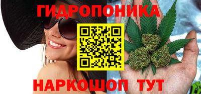 ПСИЛОЦИБИНОВЫЕ ГРИБЫ Лесосибирск