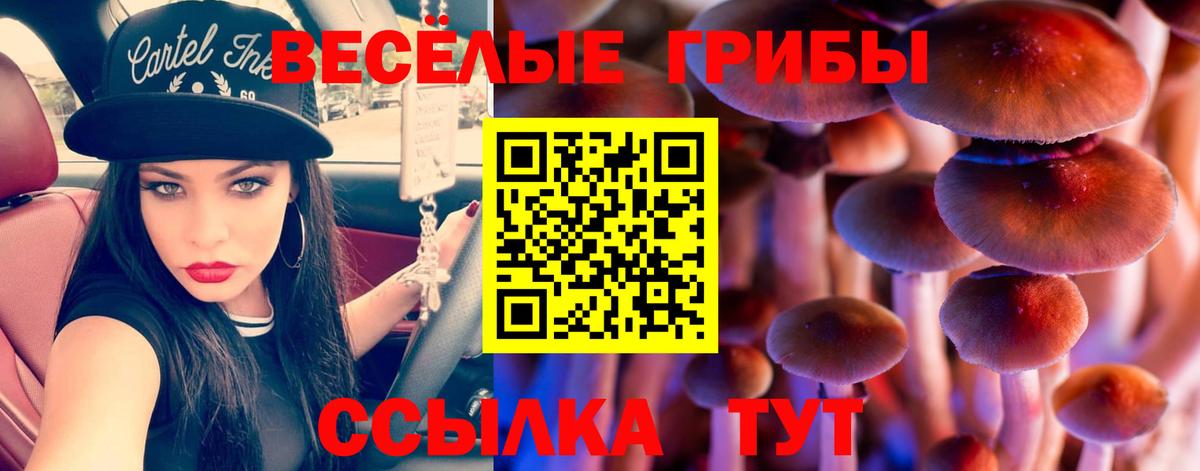 Ейск  Псилоцибиновые грибы Magic Shrooms  Вход с VPN 